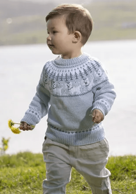 Hovedbilde 2323-6 Hunde genser